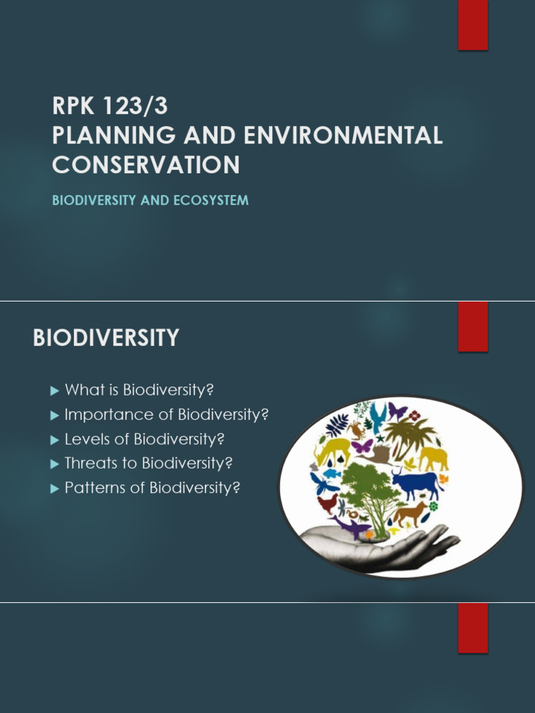 Lecture 6 - Biodiversity and Ecosystem 2021 | PDF | Biodiversity ...