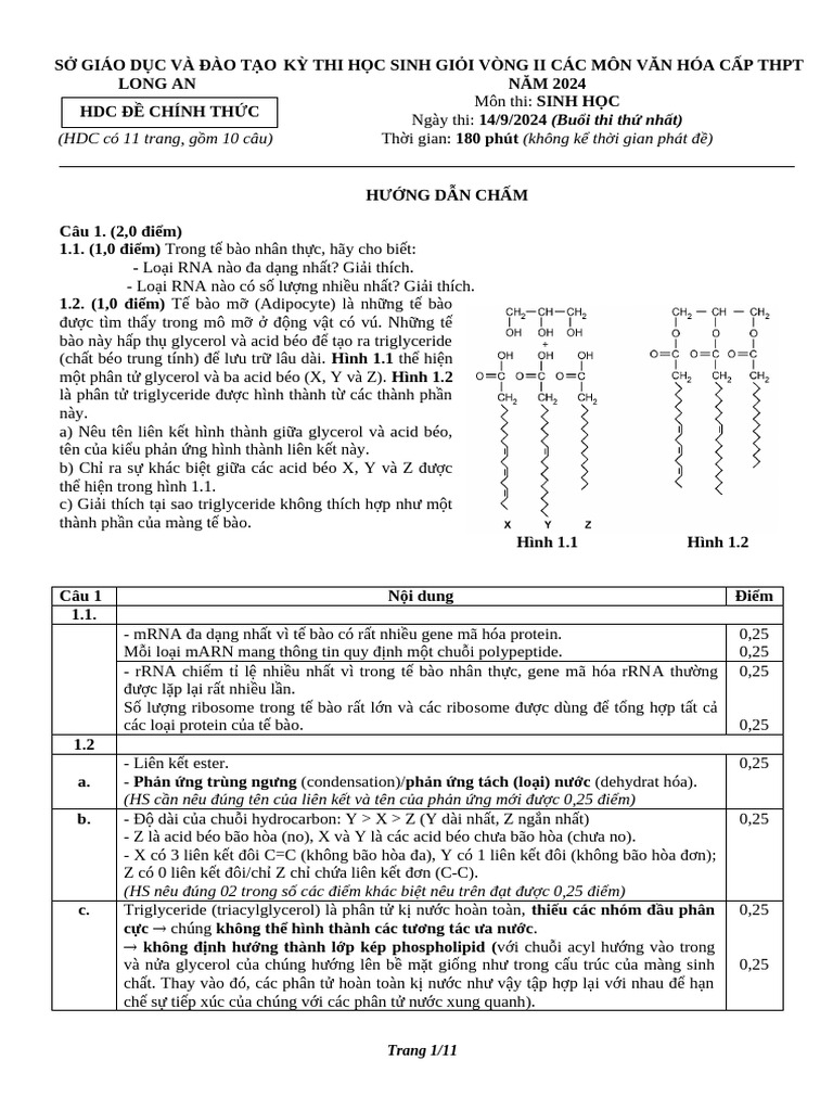 HDC CT V2 - Buoi 1 | PDF