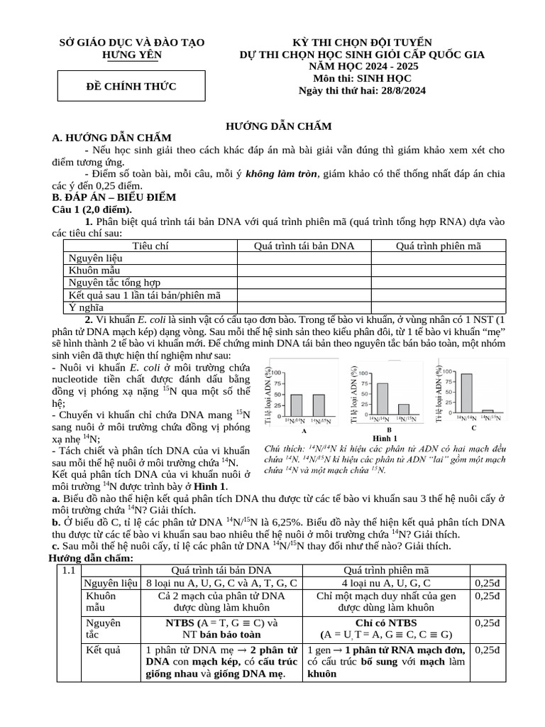 HDC Ngày 2 CT | PDF