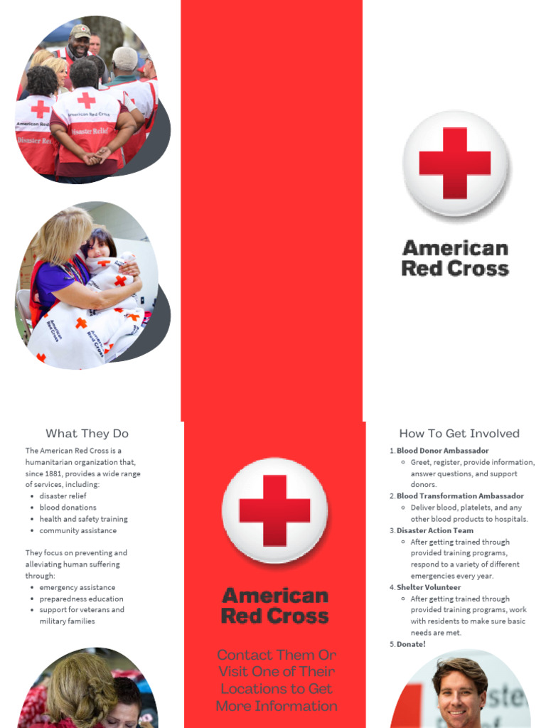 Red Cross Contact and Volunteer Info | PDF