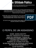 Apresentação DENGUE