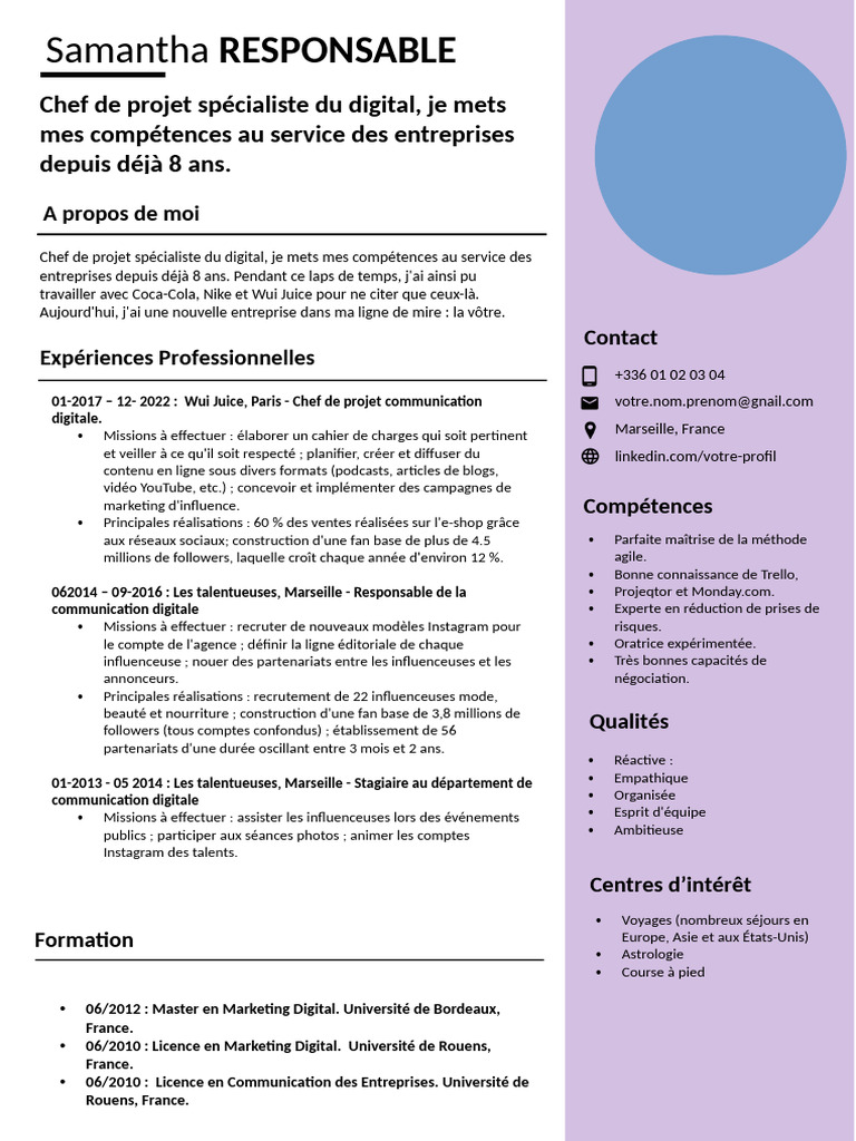 CV Chef de Projet Digital Expert | PDF | Chef de projet | Commercialisation