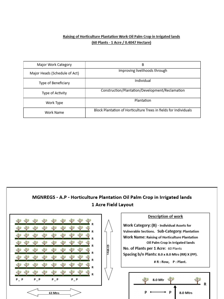 Horticulture Oil Palm Plantation Guide | PDF | Mulch | Plantation