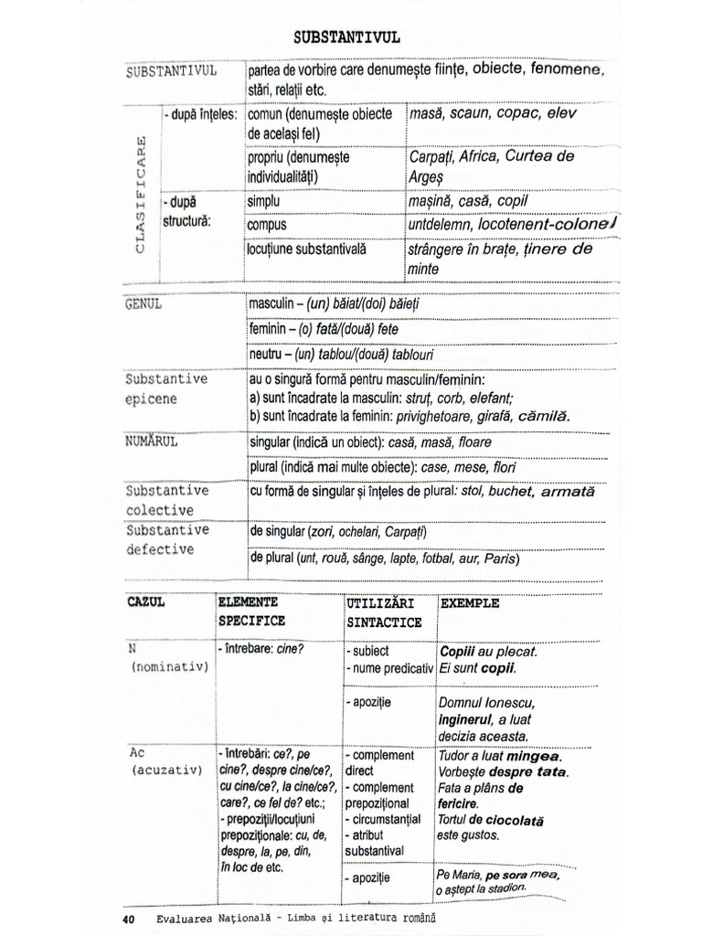 Substantivul | PDF