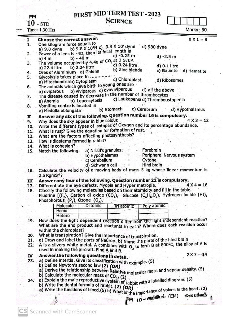 Class 10 Mid Term Exam Paper 2023 | PDF