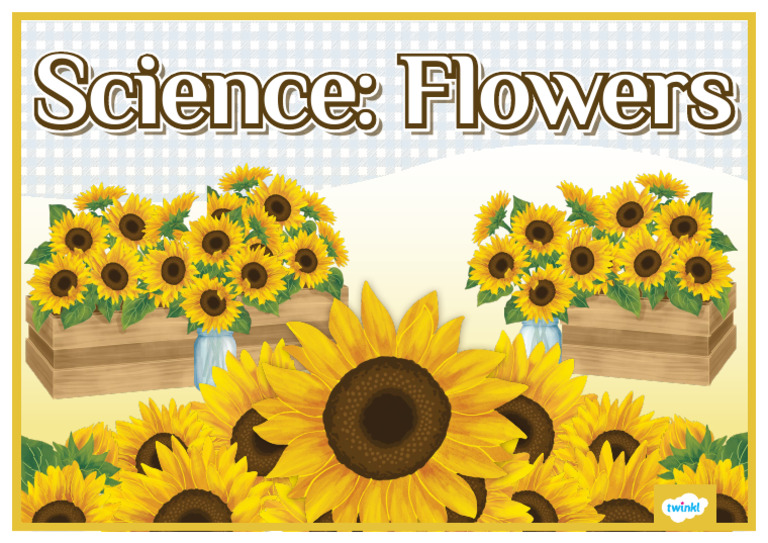 T SC 1717066510 Sunflower Themed Science Flowers Display Poster Ver 1 | PDF
