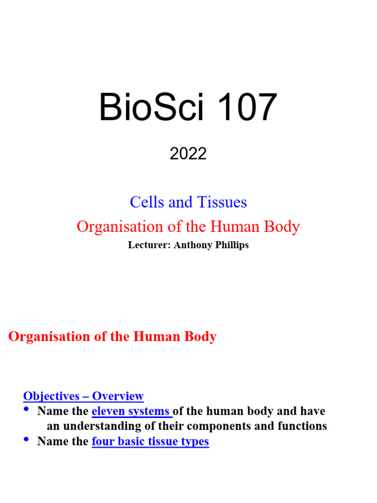 Lect 01 107 2022 Organisation Lecture (Handout) - Final | PDF ...