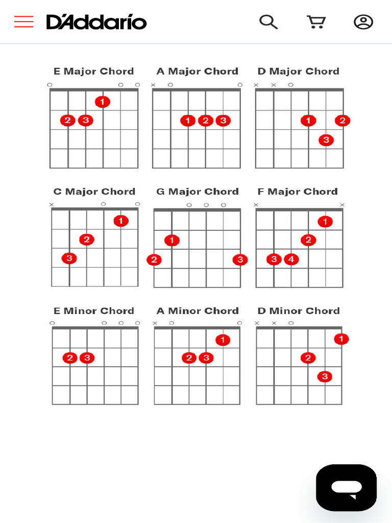 8 Basic Guitar Chords You Must Know D'Addario Lesson Room | PDF