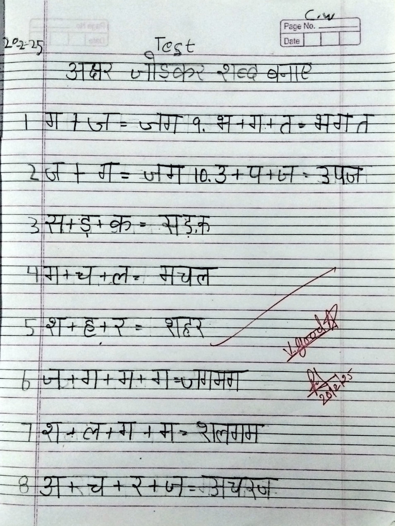 Hindi Test | PDF