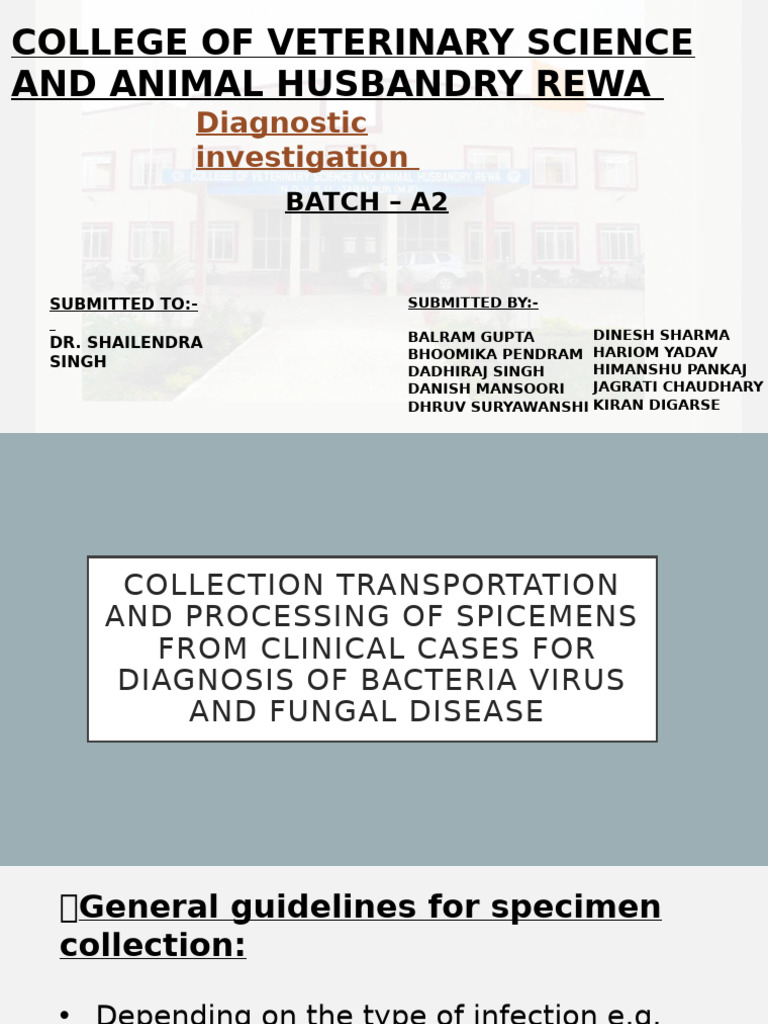 Specimen Collection for Veterinary Diagnostics | PDF | Meningitis ...