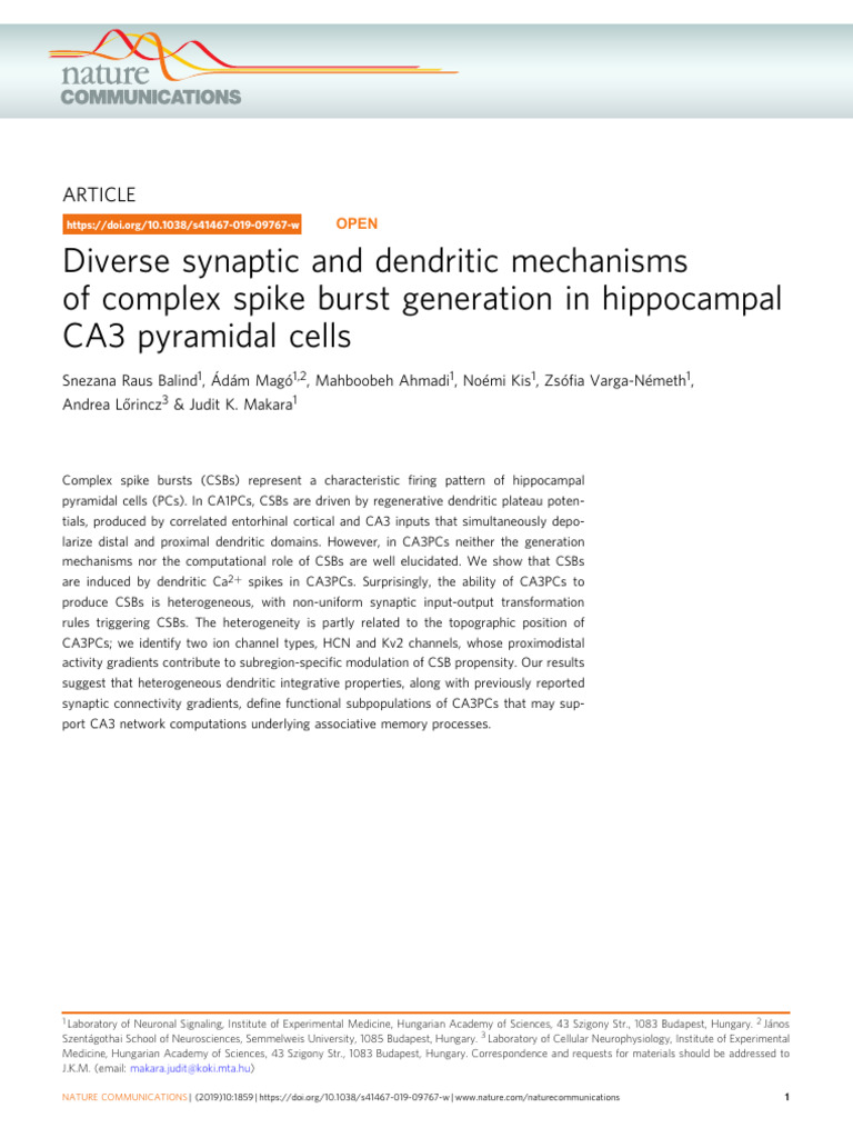 4 - Diverse Synaptic and Dendritic Mechanisms of Complex Spike Burst ...