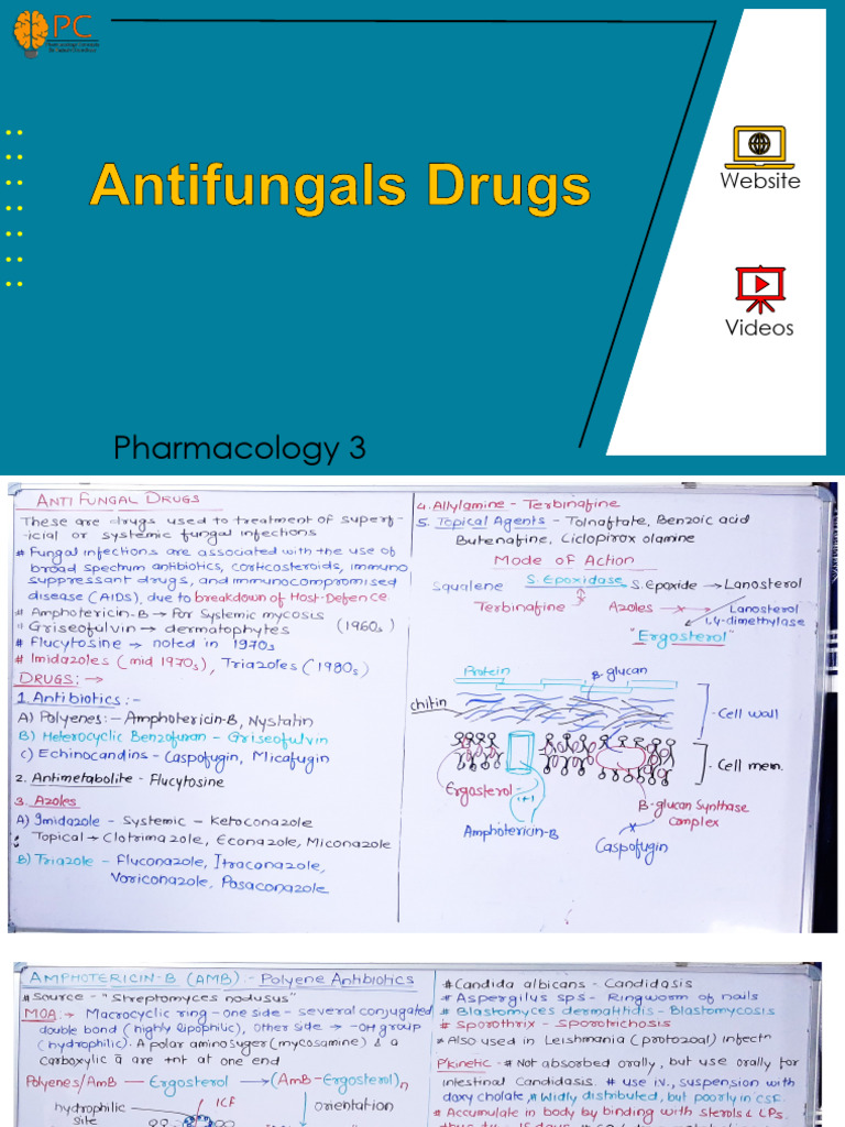 Antifungals | PDF