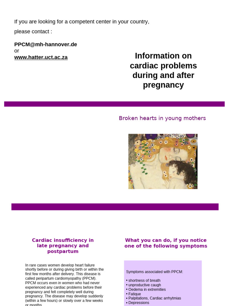 PPCM Flyer | PDF