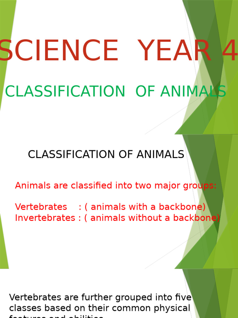Animal Classification for Year 4 | PDF | Amphibian | Thermoregulation