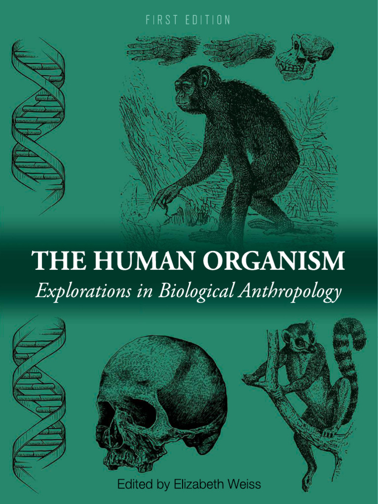 Exploring Human Evolution Concepts | PDF | Homo | Biological Anthropology
