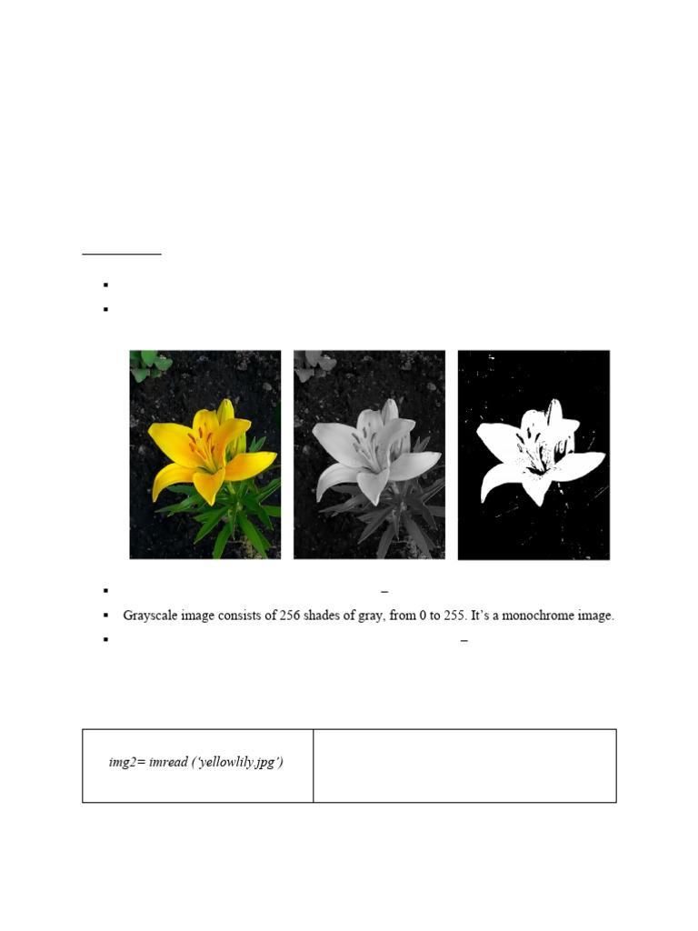 4602 Exp 03 250805 202158 | PDF | Image Segmentation | Rgb Color Model
