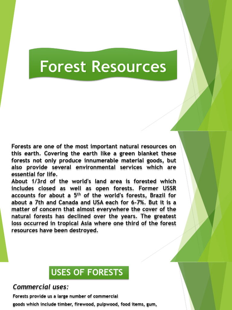 Importance and Uses of Forest Resources | PDF | Soil | Forests