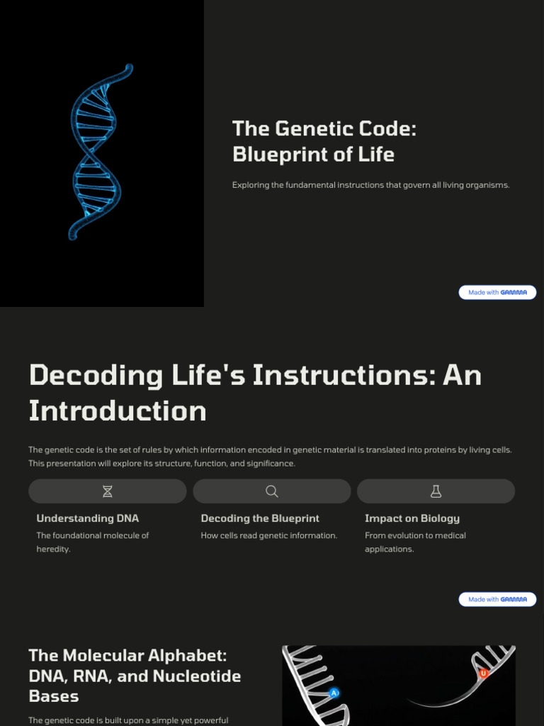 The Genetic Code Blueprint of Life | PDF | Rna | Translation (Biology)