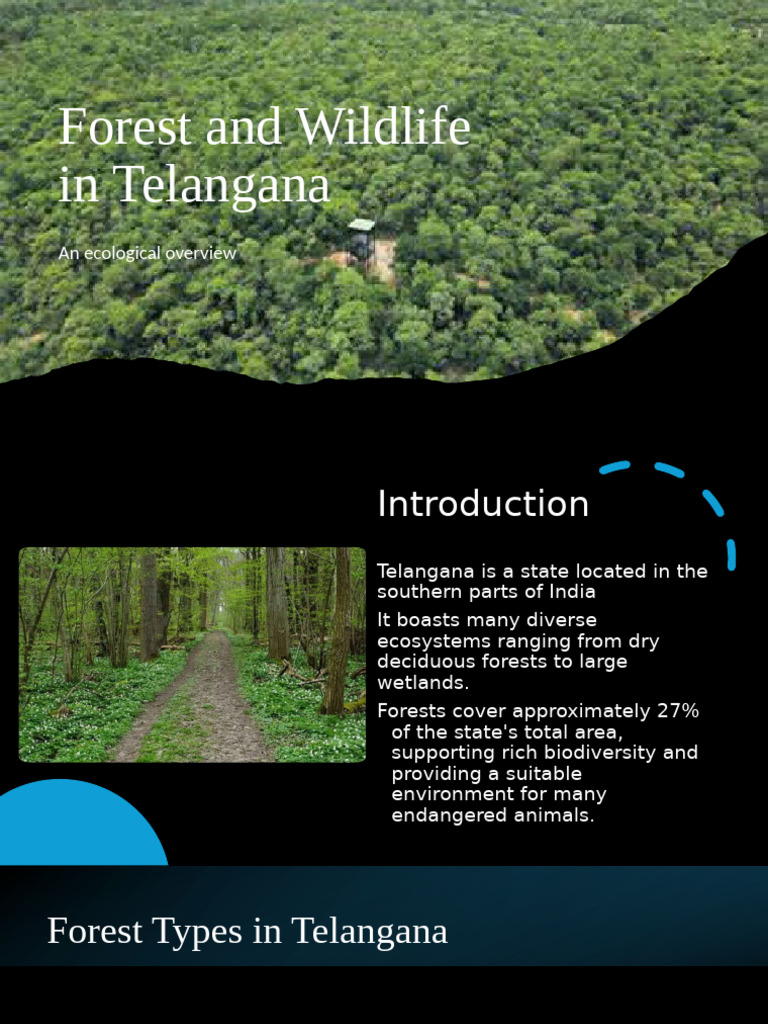 Telangana's Forests and Wildlife Overview | PDF