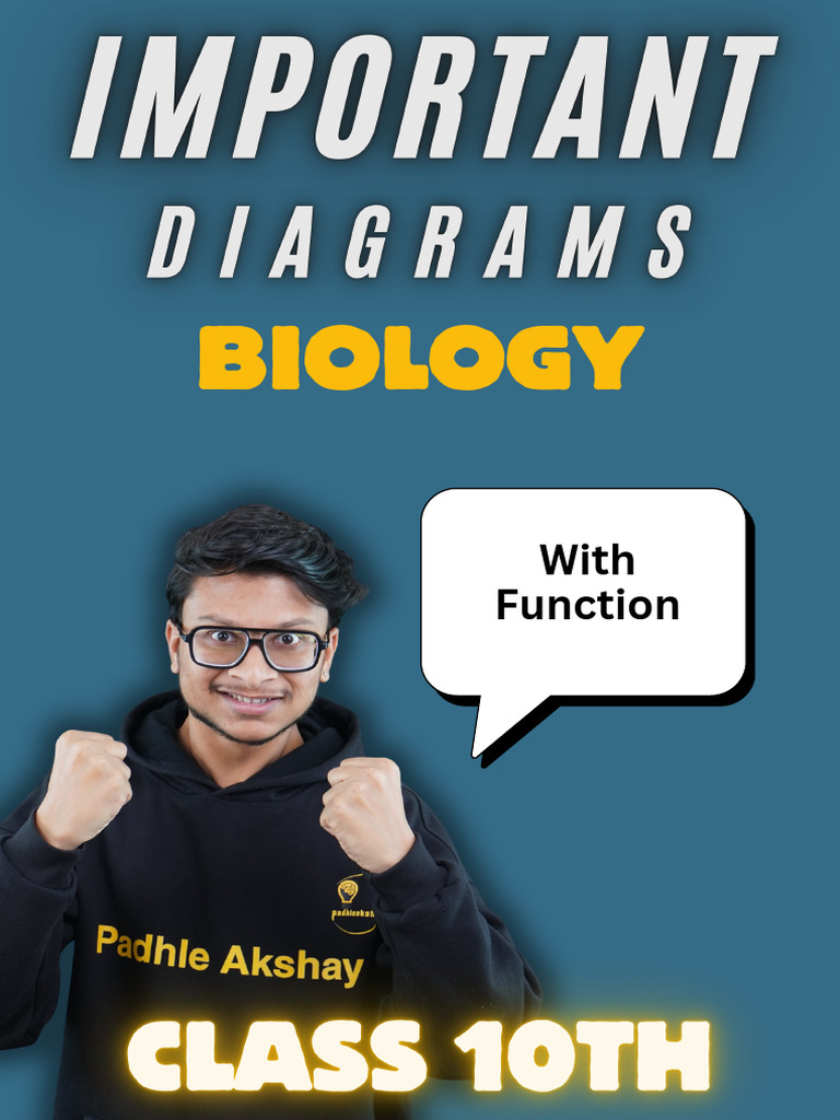 9 Diagrams Biology Merge | PDF | Digestion | Lung