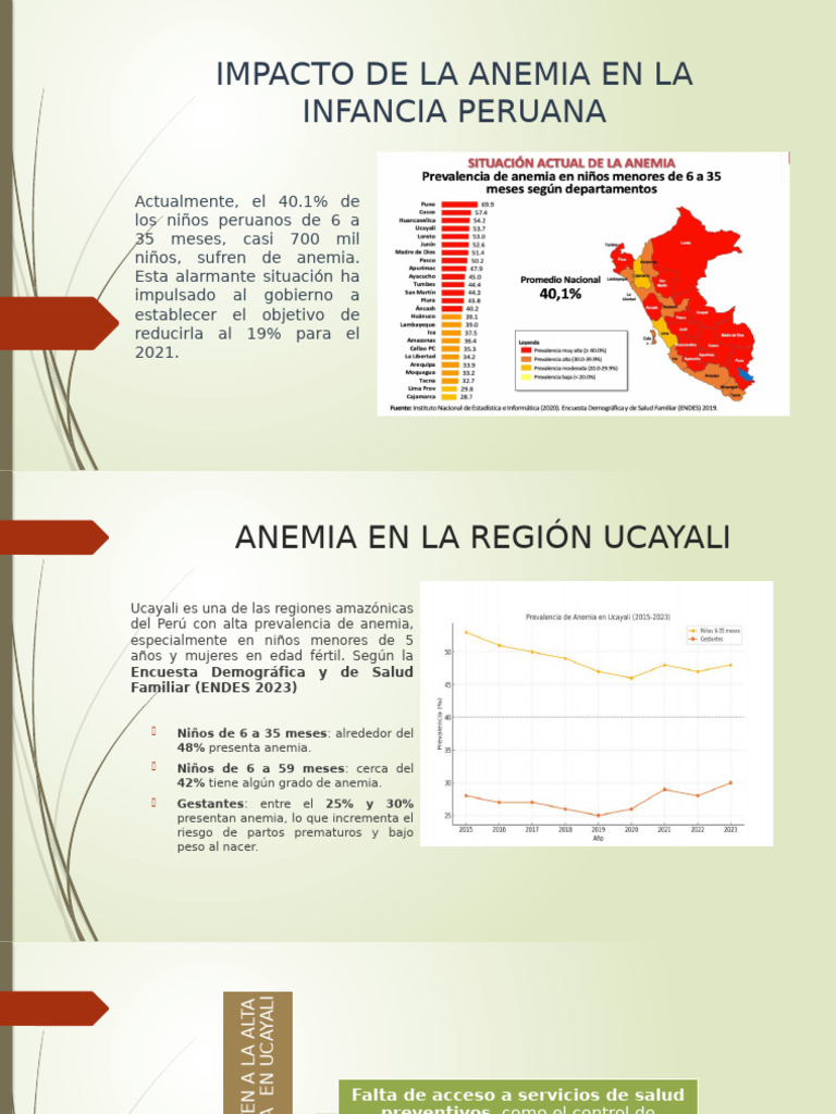 Anemia Infantil en Perú: Impacto y Causas | PDF