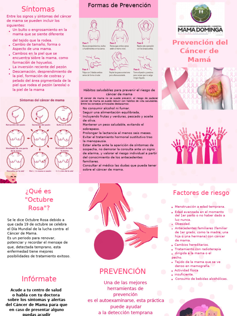 Folleto Sobre La Prevencion Del Cancer de Mama Ilustrado Moderno Rosa ...