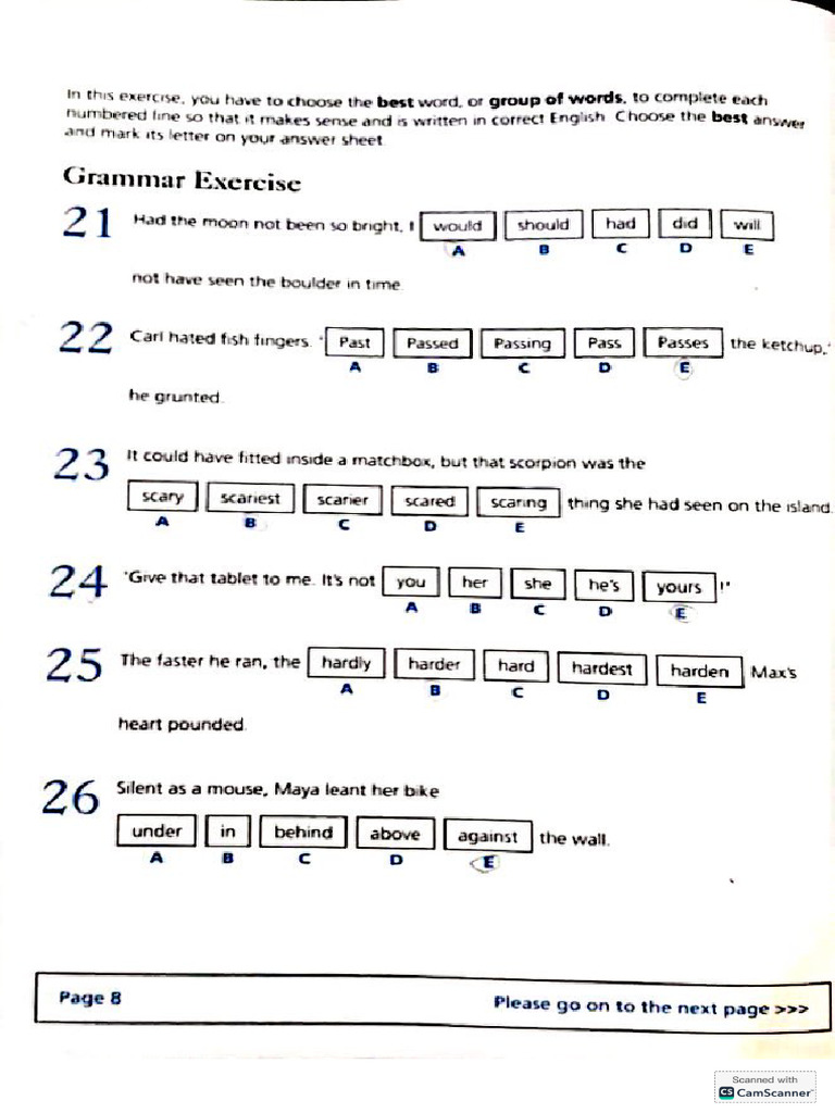 14 08 2025 Grammar and Punctuation Pract | PDF