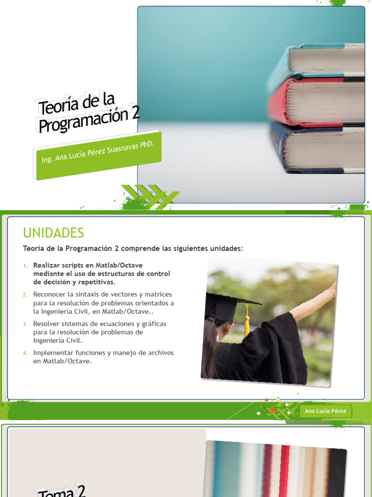 Teoría de La Programación 2 - Tema 2 | PDF | Flujo de control | Matlab