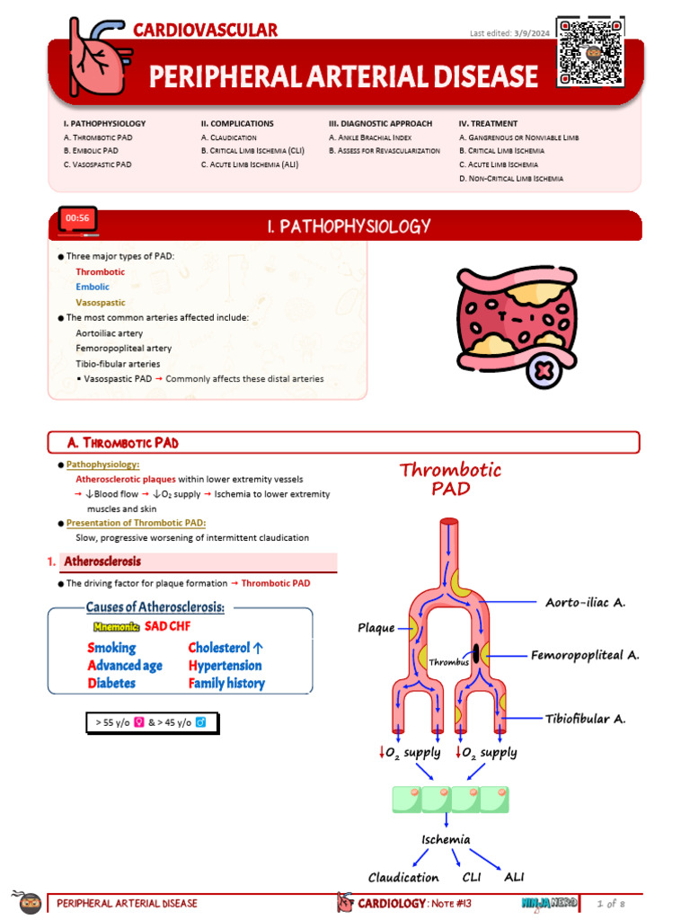 Acute Limb Ischemia Overview | PDF | Ischemia | Thrombosis