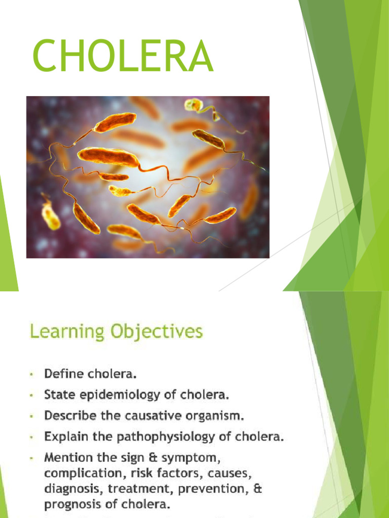 Cholera | PDF