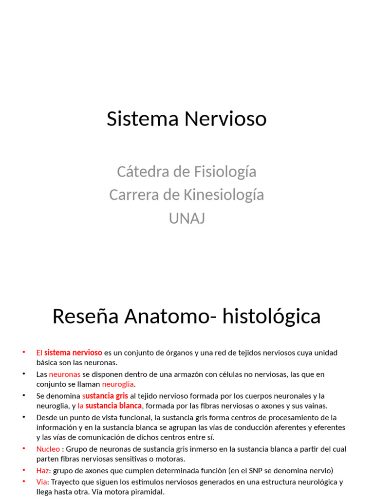 Sistema Nervioso 1 # | PDF | Sinapsis | Potencial de acción
