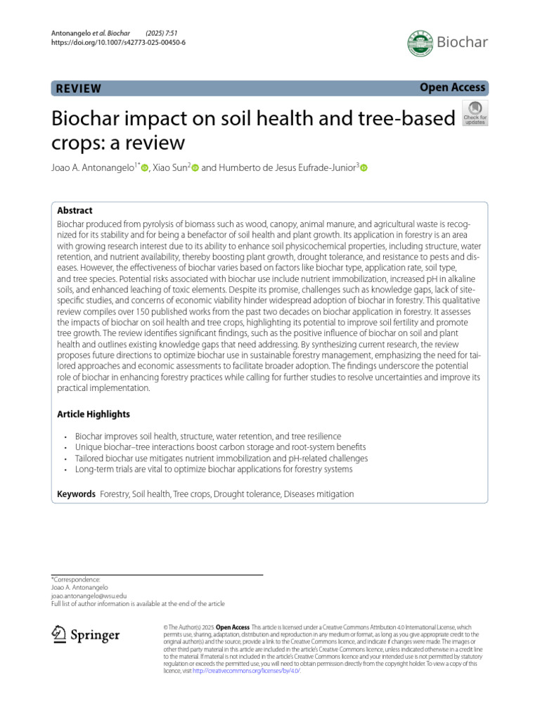 Biochar's Role in Soil Health & Forestry | PDF | Soil | Carbon ...