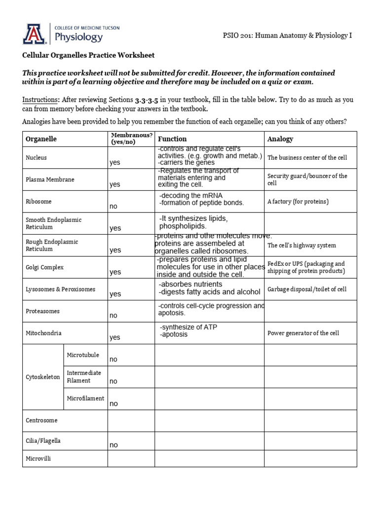 Organelle Functions Practice Worksheet | PDF | Cell (Biology ...