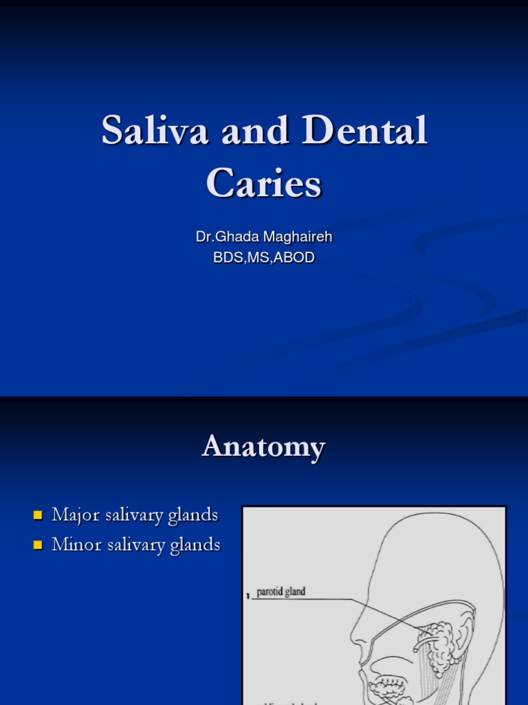 Saliva and Dental Caries Saliva Buffer Solution