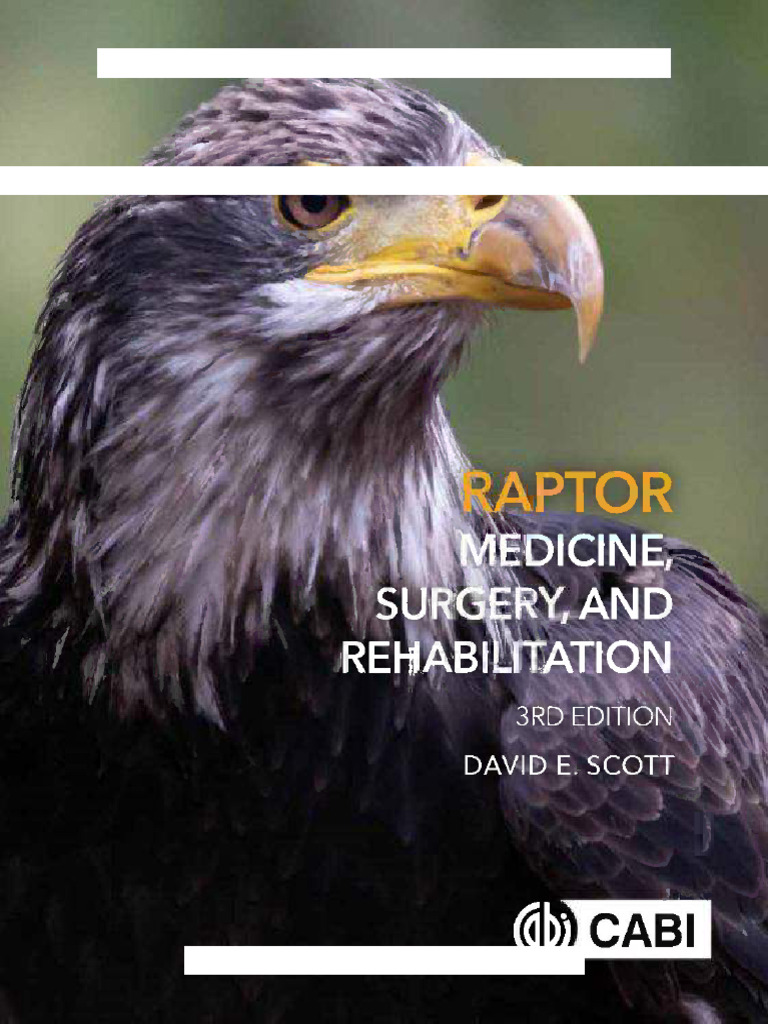 Raptor Medicine and Rehabilitation Guide | PDF | Intravenous Therapy ...