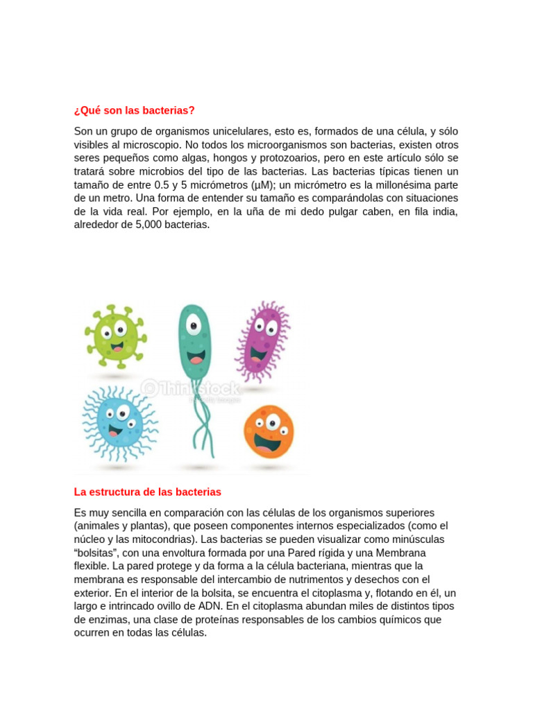Características y tipos de bacterias | PDF | Las bacterias | Virus