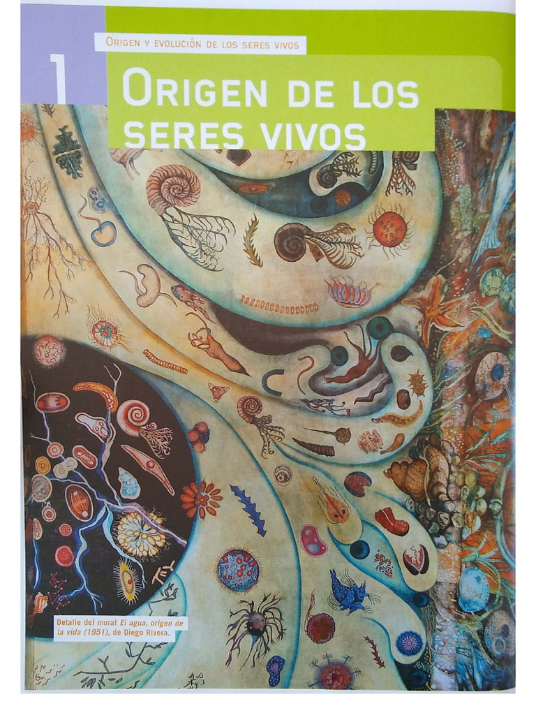 El Origen de la Vida PDF | PDF