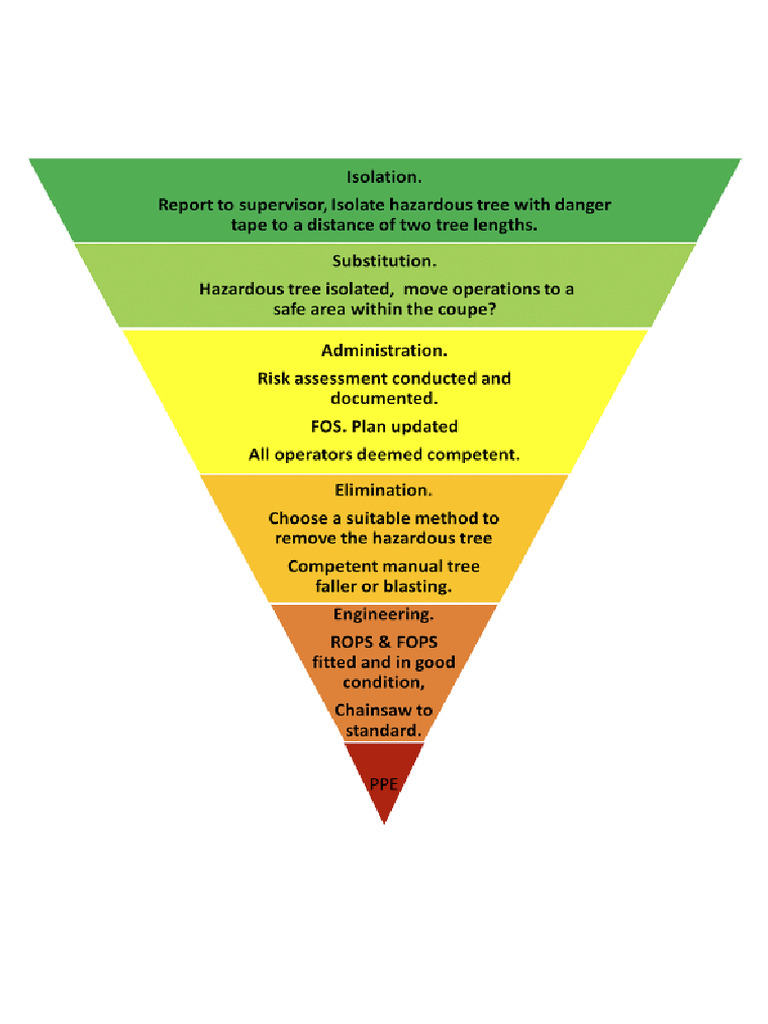 Hazardous Tree Risk Assessment | PDF