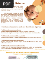 Fisiologia da Lactação e Lactogênese | PDF | Seio | Órgão (anatomia)
