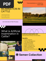 Beef Cow Synchronization Protocols | PDF | Cattle | Land Management