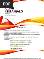 imiphumela-yokusebenzisa-izidakamizwa-pdf
