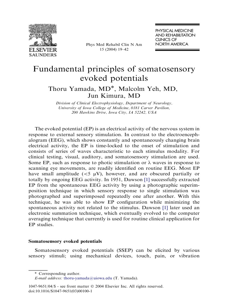 Somatosensory Evoked Potentials Overview | PDF | Spinal Cord | Neuroscience