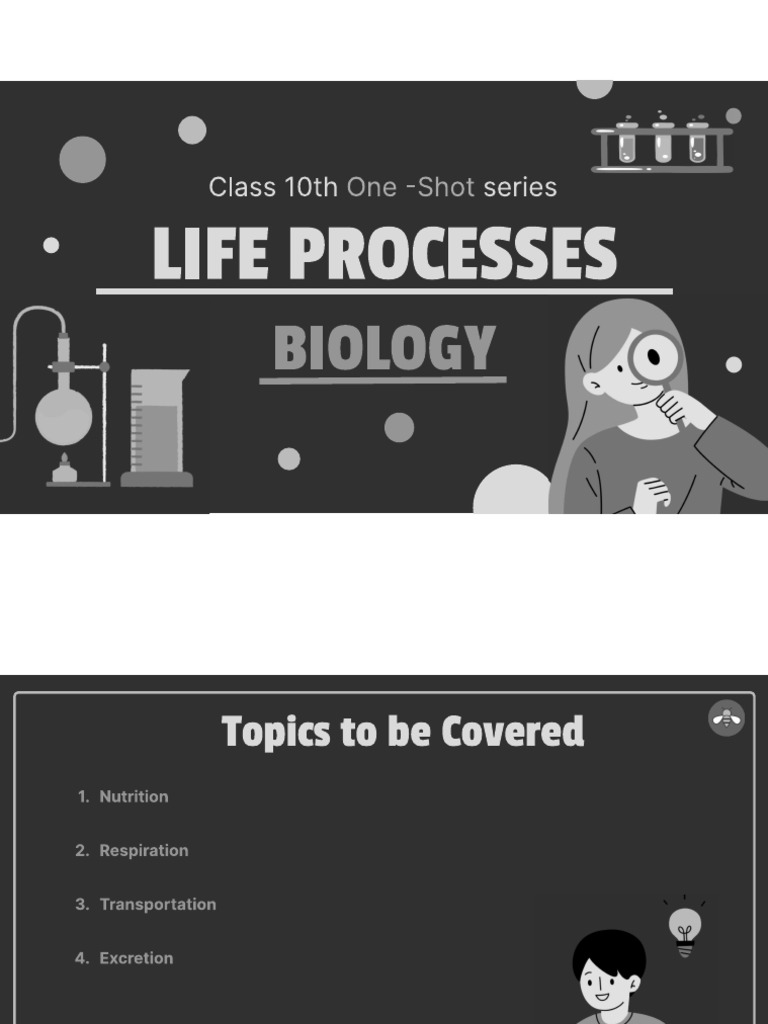 Elden 10th Life Process | PDF