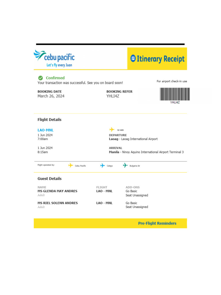 Successful Flight Booking Confirmation | PDF