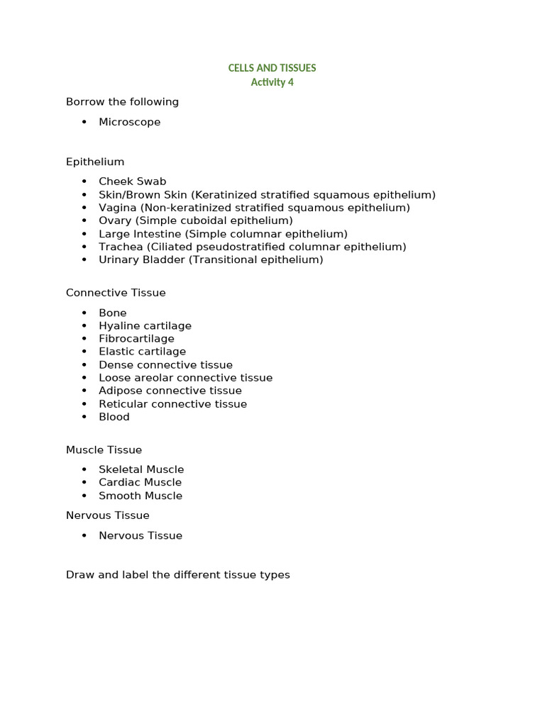 Tissue Types: Microscopy Activity Guide | PDF