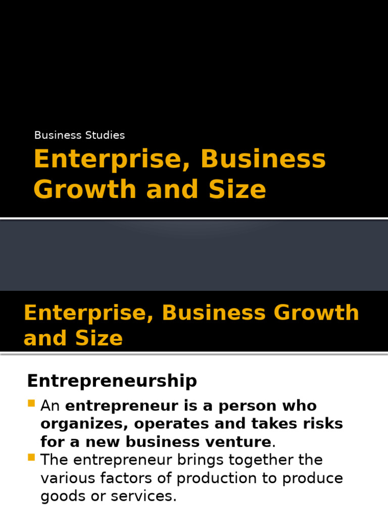 Chapter 3 Enterprise, Business Growth and Size | PDF | Entrepreneurship ...
