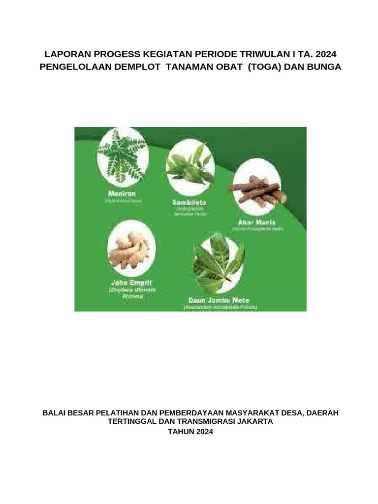 Laporan Triwulan I Demplot TOGA 2024 | PDF