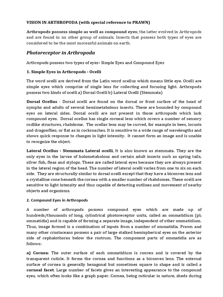 Vision Mechanisms in Arthropoda | PDF | Eye | Vision