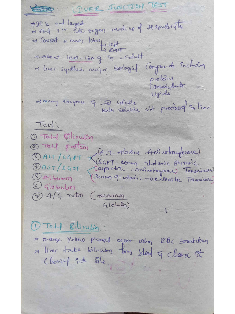 Liver Function Test Notes | PDF