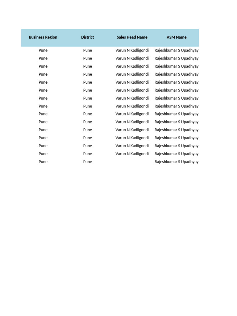 Pune Sales Performance Overview | PDF